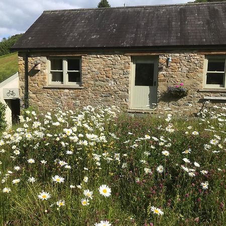 Danygraig Cottage Carmarthen Ngoại thất bức ảnh