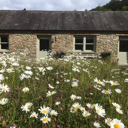 Danygraig Cottage Carmarthen Ngoại thất bức ảnh