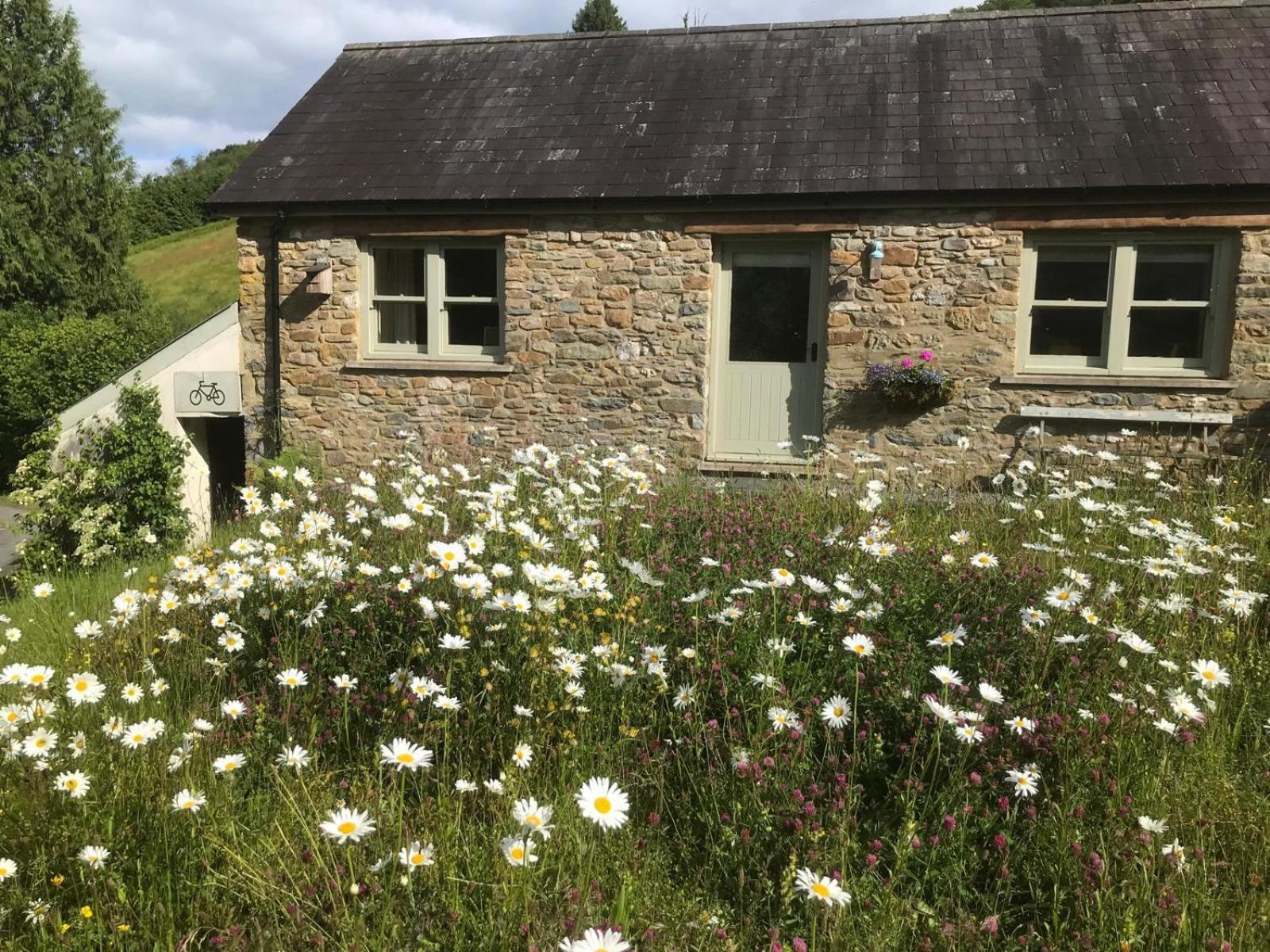 Danygraig Cottage Carmarthen Ngoại thất bức ảnh