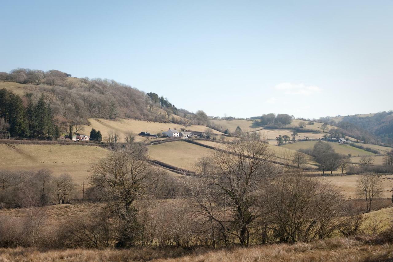 Danygraig Cottage Carmarthen Ngoại thất bức ảnh