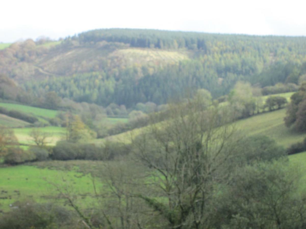 Danygraig Cottage Carmarthen Ngoại thất bức ảnh