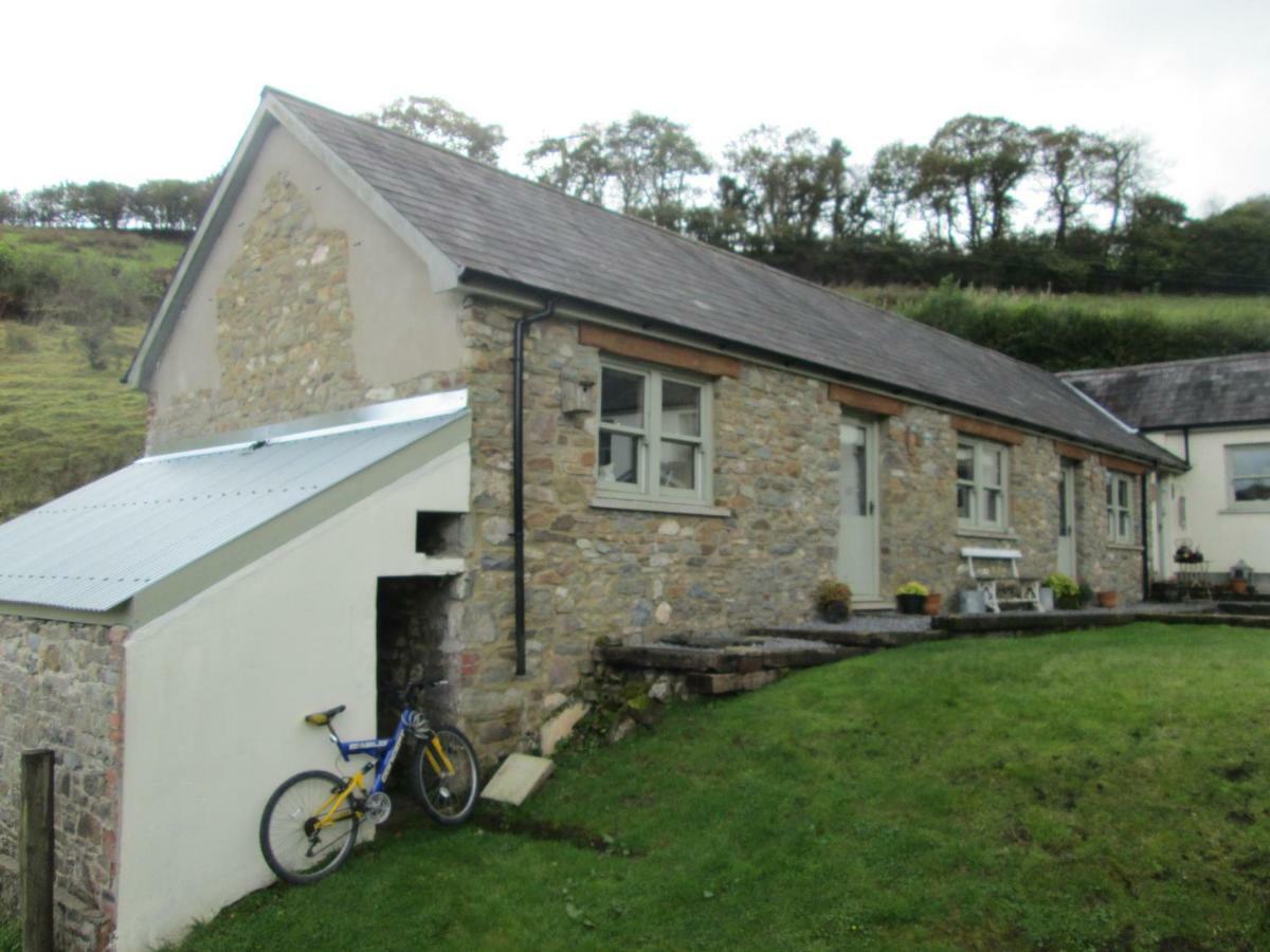 Danygraig Cottage Carmarthen Ngoại thất bức ảnh