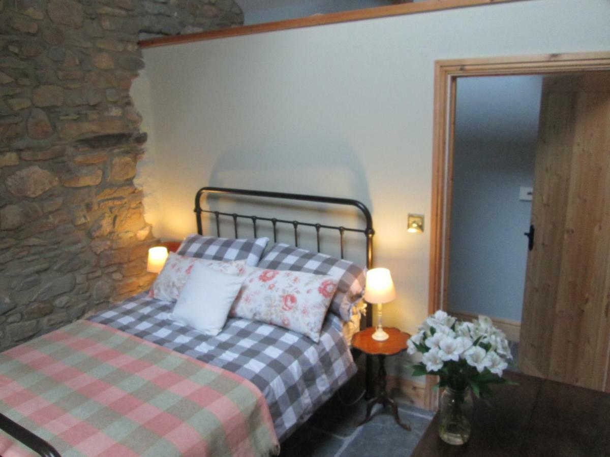 Danygraig Cottage Carmarthen Ngoại thất bức ảnh