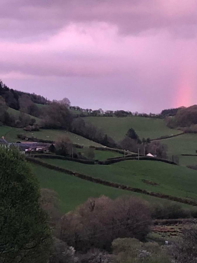 Danygraig Cottage Carmarthen Ngoại thất bức ảnh